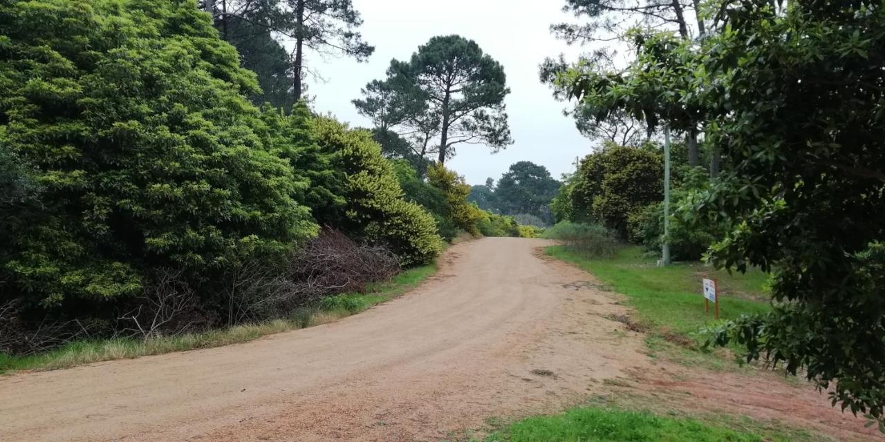 Las Chozas 埃斯特角城 客房 照片